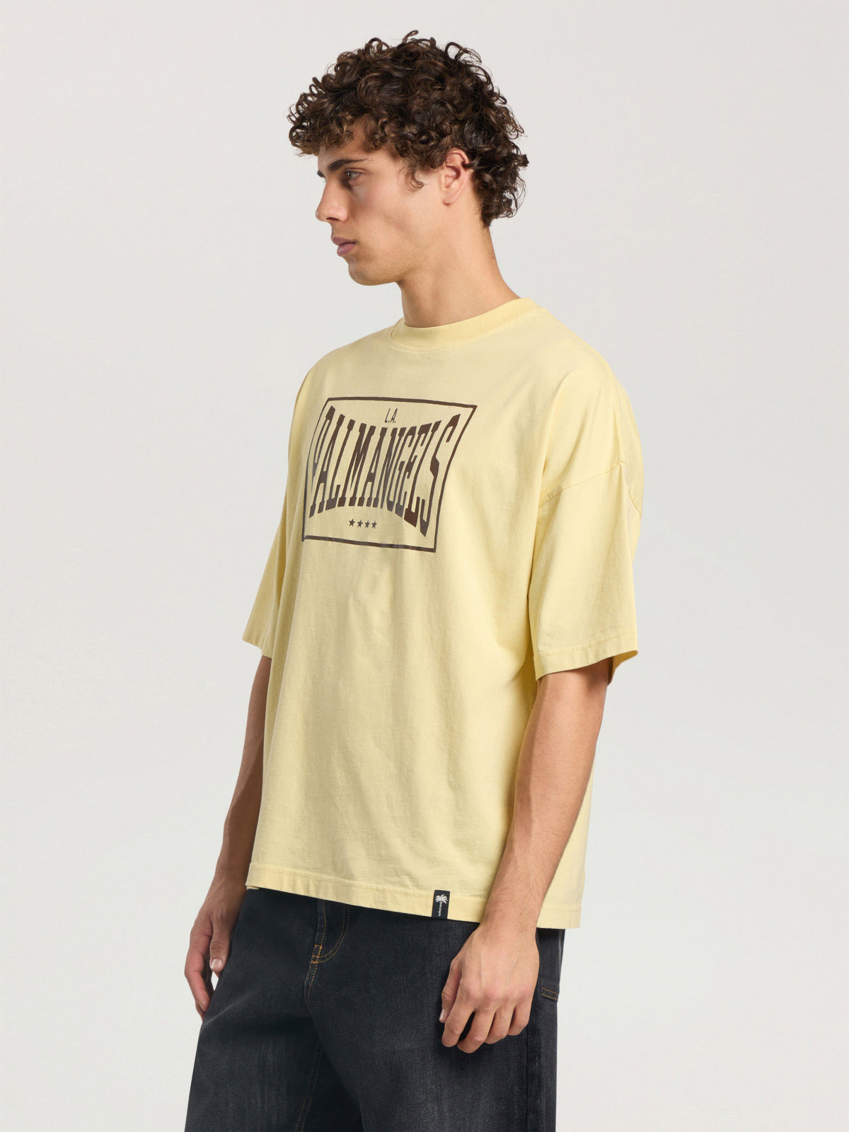 PALM ANGELS VINTAGE BOX LOGO LOOSE T-SHIRT LIGHT YELLOW - BROWN — vista 4