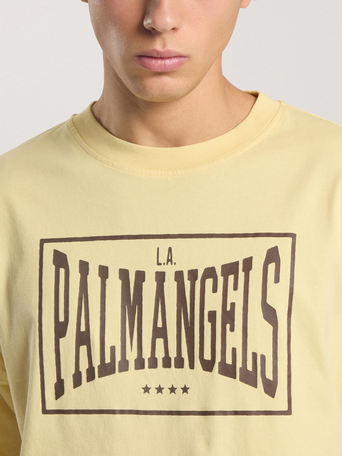 PALM ANGELS VINTAGE BOX LOGO LOOSE T-SHIRT LIGHT YELLOW - BROWN — vista 6