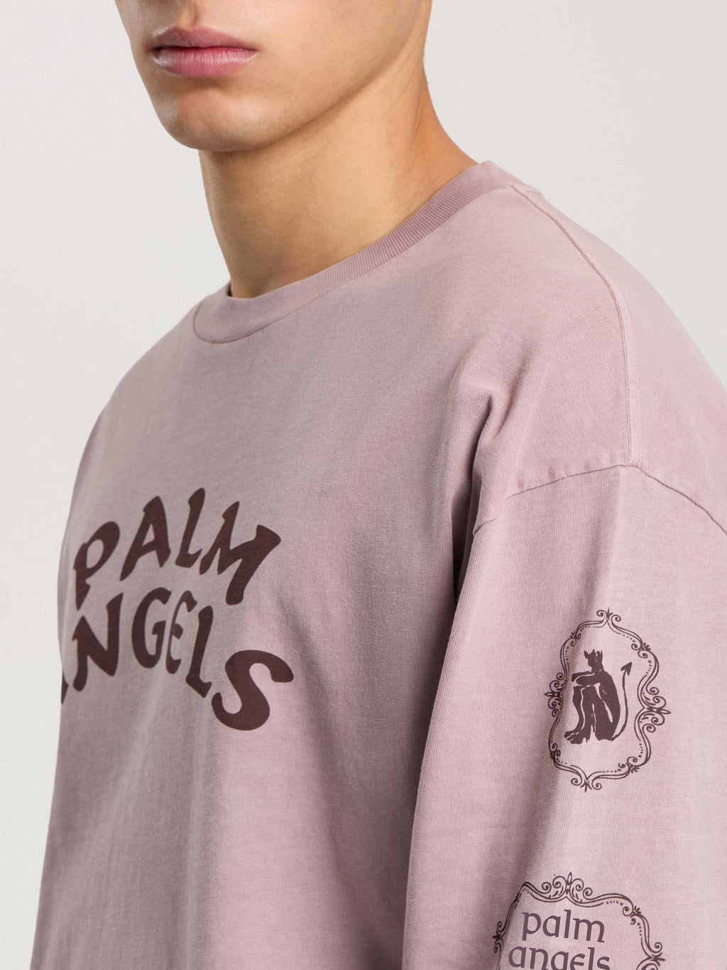 PALM ANGELS DEVIL HERALD LONG SLEEVE T-SHIRT MAUVE - BROWN — vista 5