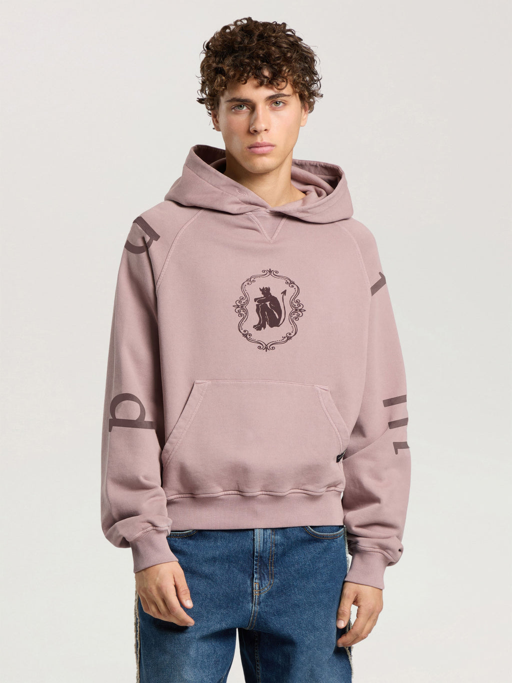 PALM ANGELS DEVIL HERALD LOOSE HOODIE MAUVE - BROWN — vista 2