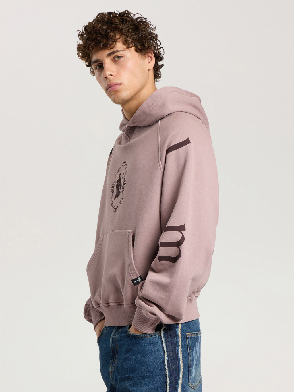 PALM ANGELS DEVIL HERALD LOOSE HOODIE MAUVE - BROWN — vista 3