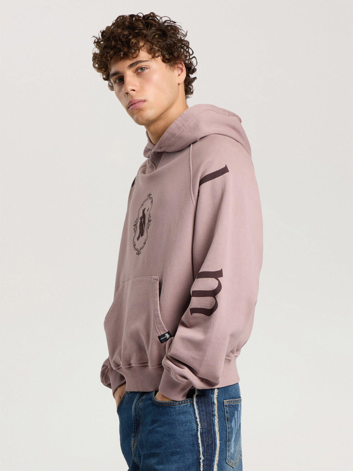 PALM ANGELS DEVIL HERALD LOOSE HOODIE MAUVE - BROWN — vista 3