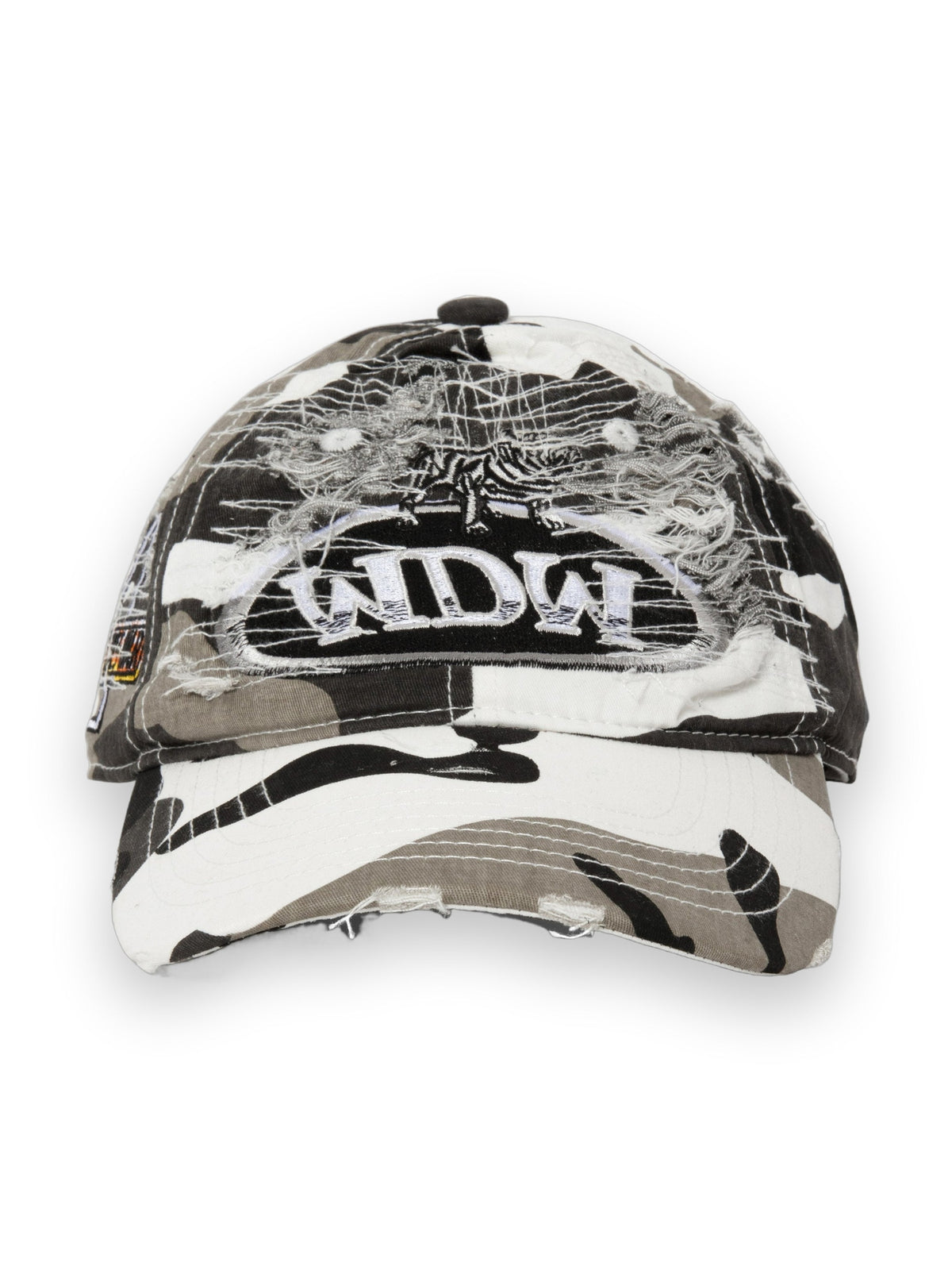 WHO DECIDES WAR DALE CAP