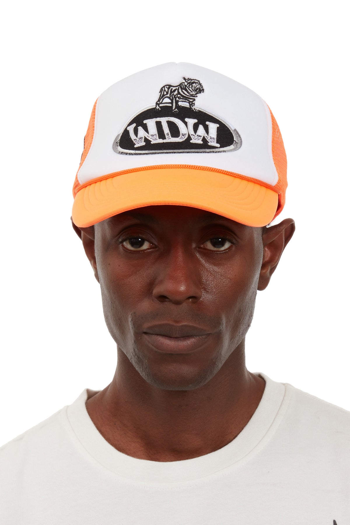 WHO DECIDES WAR DALE TRUCKER — vista 2