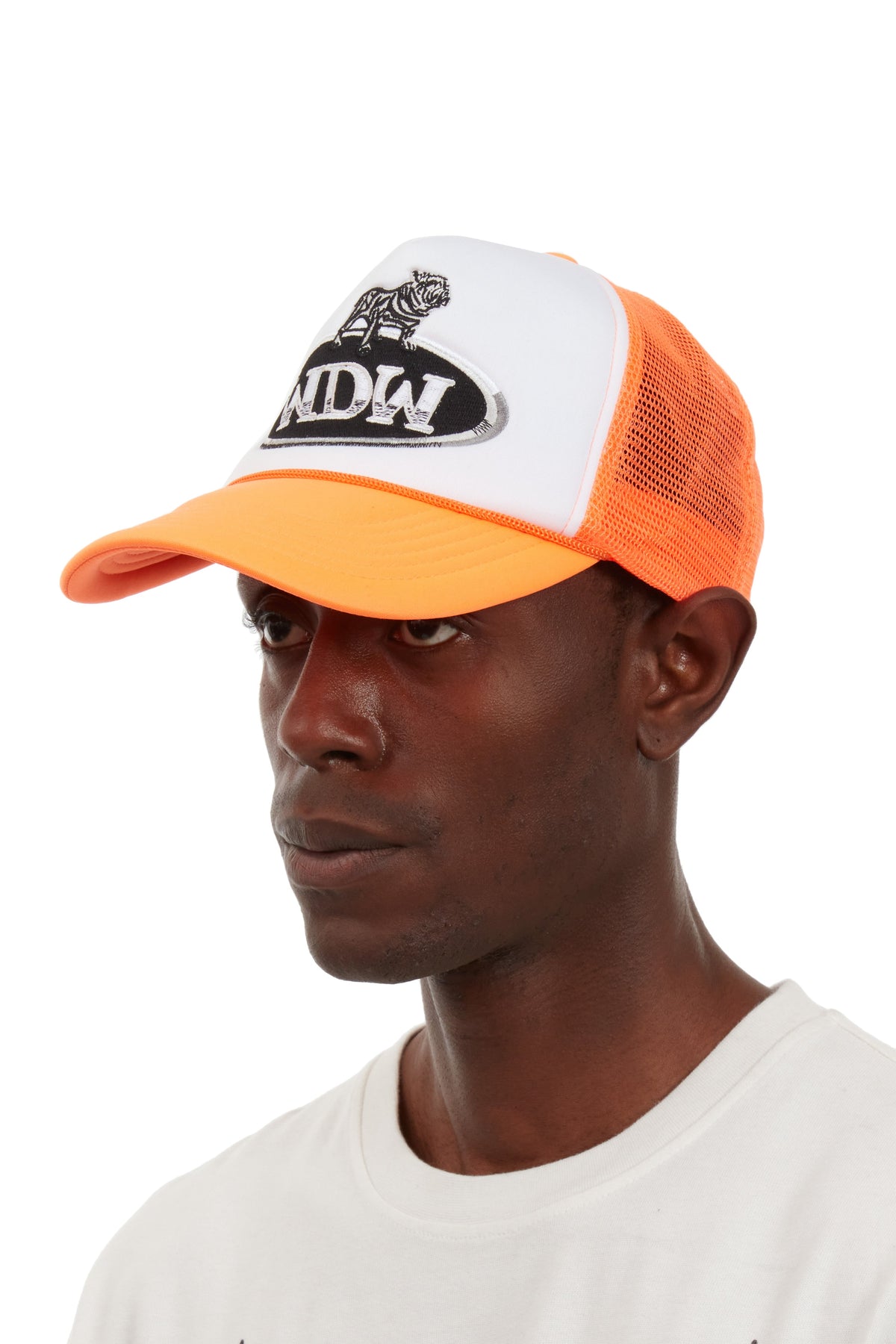 WHO DECIDES WAR DALE TRUCKER — vista 3