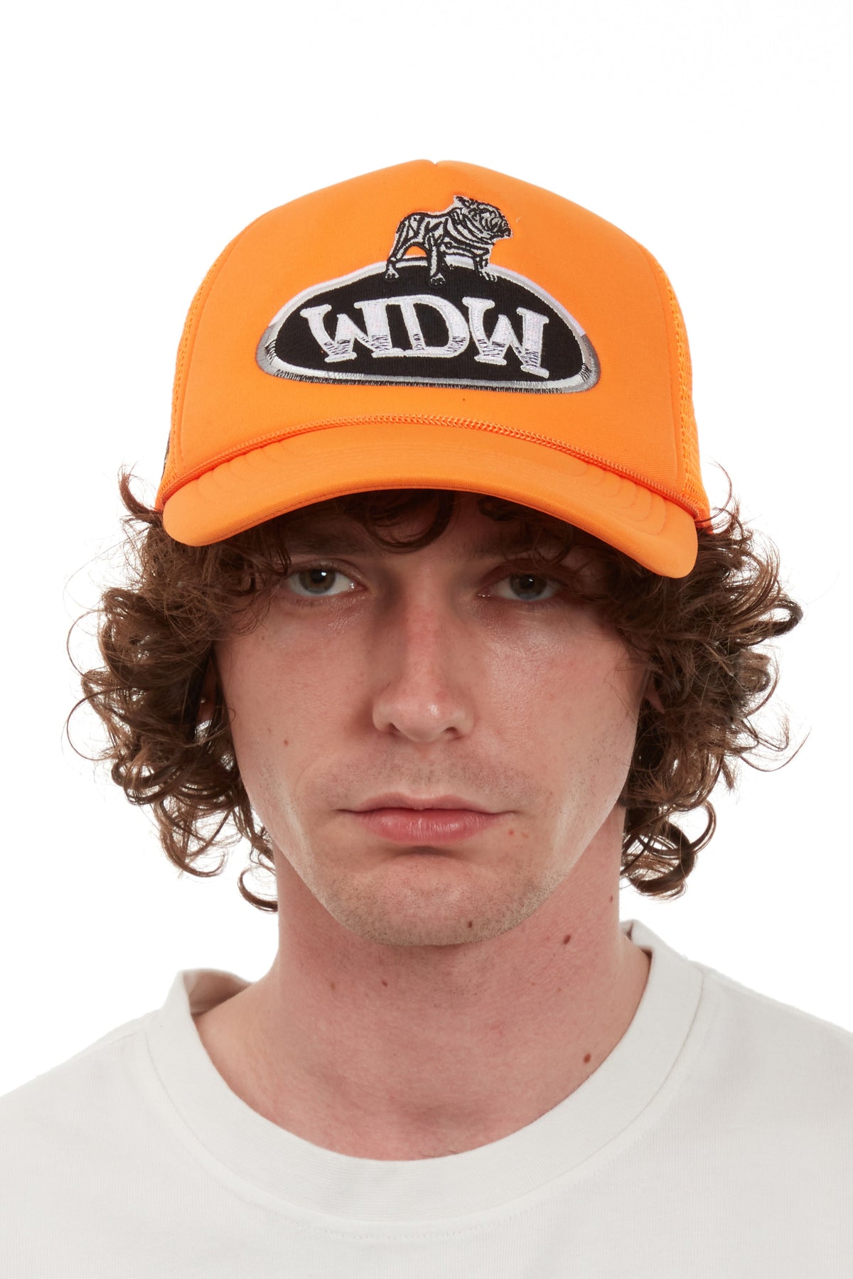 WHO DECIDES WAR DALE TRUCKER — vista 2
