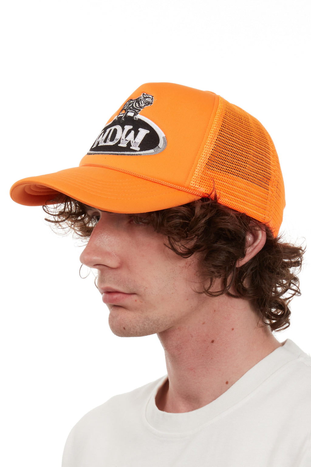 WHO DECIDES WAR DALE TRUCKER — vista 3