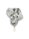 WHO DECIDES WAR ARTIC TRAPPER