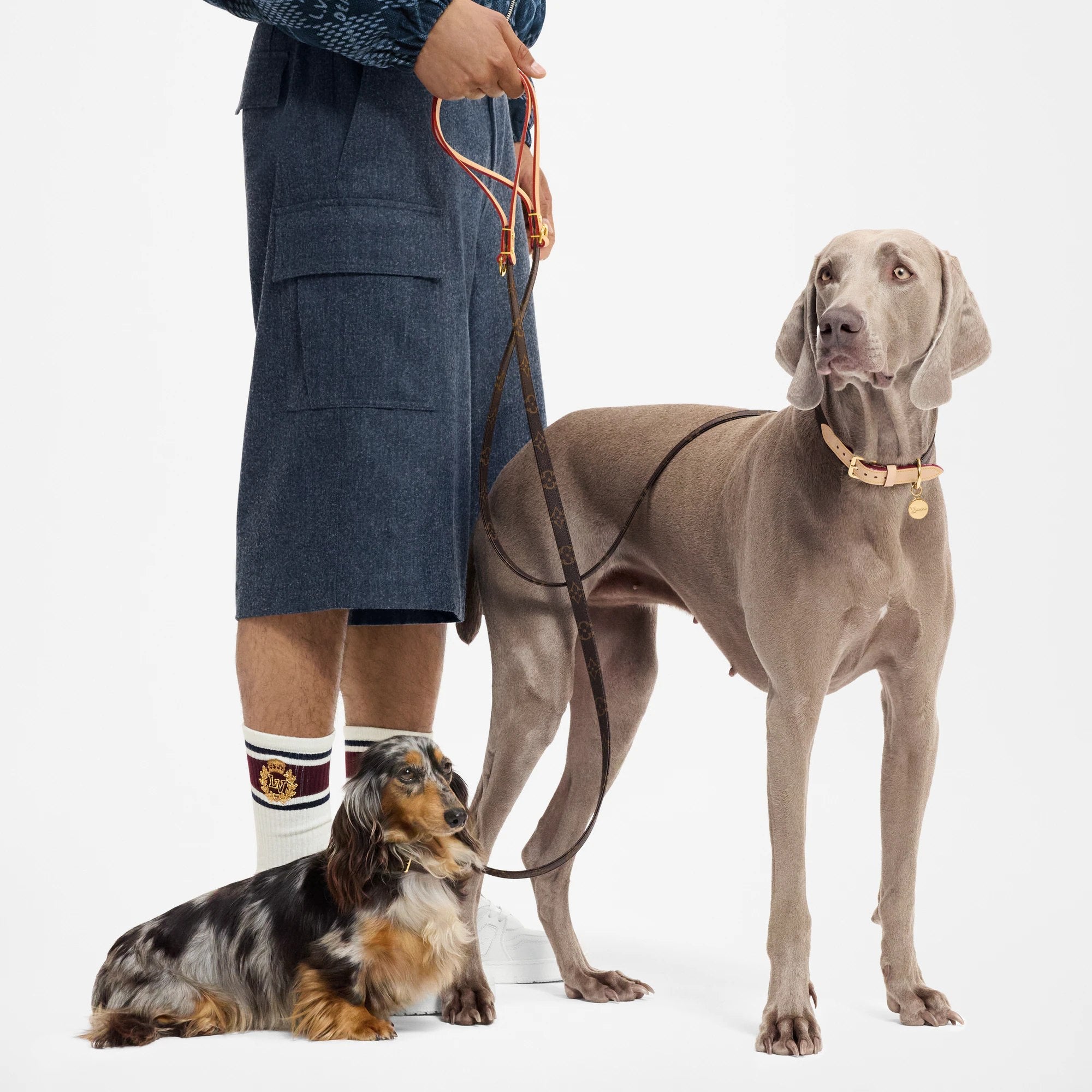 LOUIS VUITTON MONOGRAM DOG LEASH & COLLAR LOVERS